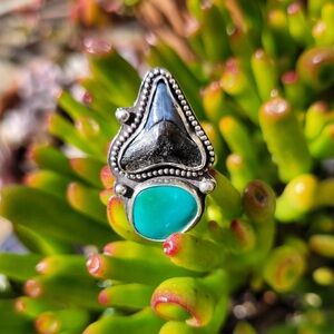Sterling silver megalodon shark tooth and turquoise gemstone ring